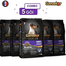 Combo 5 gói thức ăn cho chó con Ganador vị sữa & DHA Puppy Milk with DHA 400 gram