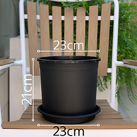 Mua Chậu nhựa trồng cây VIETPOT  mã 32  màu Đen Trơn  nhiều cỡ  trồng kiểng lá  hoa hồng  sen đá  trang trí ban công  sân vườn