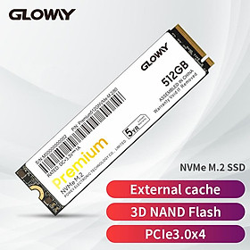 Gloway Premium Series SSD cho Laptop Cache M2 512GB 1TB Basic Disque Dur M.2 PCI-e SSD Internal Hard Drive For Computer Notebook SSD Dung lượng: 512GB Premium