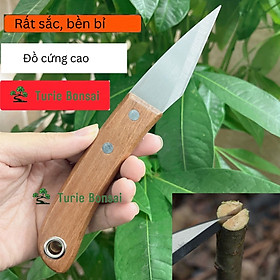 Dao ghép cành, chiết cành, dao cán gỗ siêu sắc