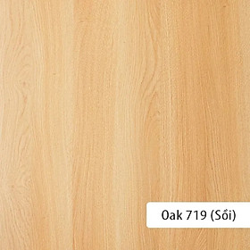 Tủ Để Giày Dép Hiện Đại Cho Căn Hộ, Nhà Phố Thương Hiệu SIB Decor TG05