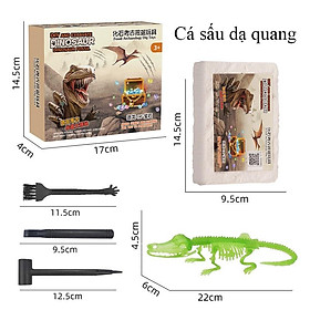 Đồ chơi khai quật khảo cổ học hoá thạch xương khủng long có phát quang kèm bộ dụng cụ đào