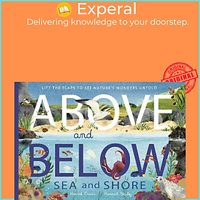 Sách - Above and Below: Sea and Shore : Lift the flaps to see nature's wonders  by Harriet Evans (UK edition, paperback)