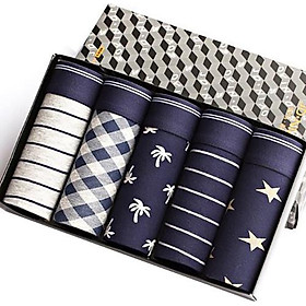 Hộp Combo 5 Sịp Đùi Loại Đẹp