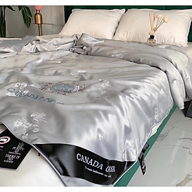 Chăn Hè Lụa Tencel Cao Cấp 2mx2m2 Màu Bạc
