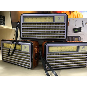Mua Đài Radio FM DS-1975BT Nhật-Kiểu Dáng Cổ Điển - Loa Bluetooth 5.4 Hỗ Trợ USB  Thẻ nhớ  Cáp sạc typeC - Hàng chính hãng