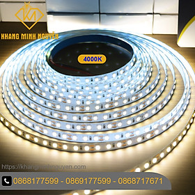 Mua 120 Led/mét Đèn LED dây 2835 12V cuộn 5m - có keo - trắng lạnh  trắng  vàng  trung tính  đỏ  xanh dương  xanh lá