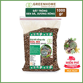 Đất trồng sen đá trộn sẵn-Trồng xương rồng, sen đá-Cung cấp đầy đủ chất dinh dưỡng cho cây trồng- (1kg)