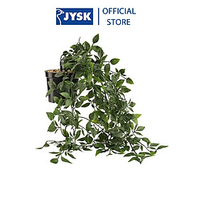Mua Cây trang trí | JYSK Oliver | nhựa/kim loại | xanh lá cây | D14xR20cm