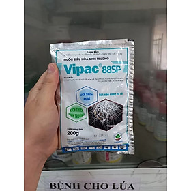 Chế phẩm điều hòa sinh trưởng Vipac 88SP 200g