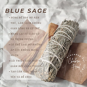 Blue Sage - Xô Thơm Xanh - Thảo Mộc Thanh Tẩy Bản Thân, Thu Hút Thịnh Vượng l Chakra Heal Incense