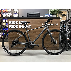 Xe đạp địa hình GIANT 2024 ESCAPE 1 D-GC