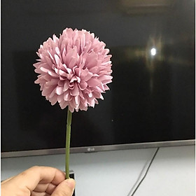 Mua Siêu rẻ-Hoa giả-Hoa bồ công anh vải lụa trang trí nhà cửa  đạo cụ chụp ảnh xinh xắn dễ thương