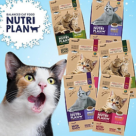 Thức ăn hạt cho mèo mọi lứa tuổi Nutri Plan Cat All Stage Plus 5Kg