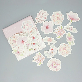 Hình dán sticker Chủ đề các loài hoa STK033 - Floral Stickers