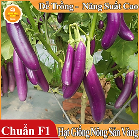 Hình ảnh Hạt giống Cà Tím Quả Dài Năng Suất Cao ( Gói 1 Gram ) - Nông Sản Vàng