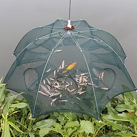 Lưới Đánh Bắt Cá - Lưới Bát Quái thiết kế tiện lợi, hiệu quả cao - lồng ô tiện dụng