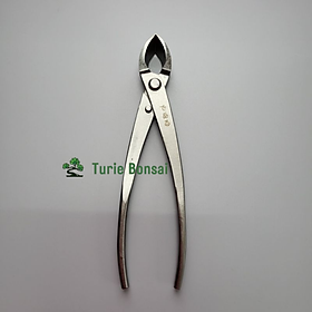 Cạp tròn bonsai cây cảnh dài 21cm