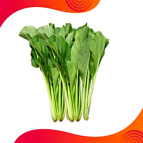 Mua 01 Gói Hạt Giống Cải Ngọt