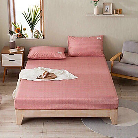 Bộ Set Chăn Ga Giường Và Vỏ Gối Cotton TICI ADU79 Bedding Đủ Kích Thước Trải Nệm 1m4, 1m6, 1m8 Chưa Gồm Chăn