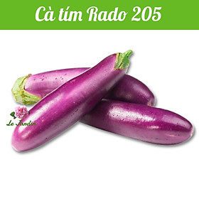 Hạt giống cà tím Rado 205 gói 0,5gr - DỄ TRỒNG