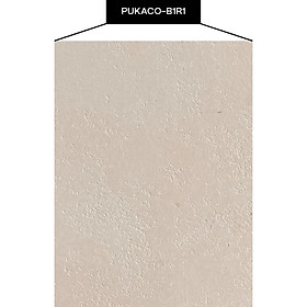 Mua Bộ sưu tập  Dreams of Venice  - mẫu sơn hiệu ứng PUKACO-B1R1