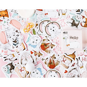 Hộp 45 Miếng Dán Sticker Trang Trí Xin Chào Thế Giới Động Vật