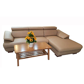 Bộ Ghế Sofa Góc Nhỏ Gọn Phù Hợp Không Gian Căn Hộ _Size 2m5 x 1m6