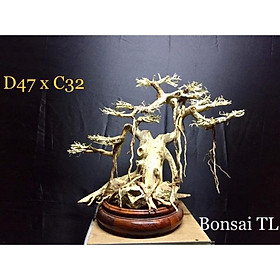 Gỗ Lũa Bonsai Thuỷ sinh D47xC32 dành cho trang trí bể cá