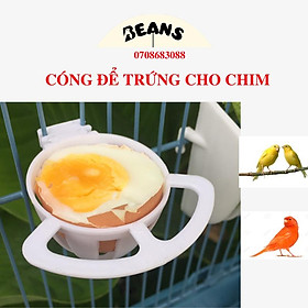 Cóng đựng trứng cho chim cảnh