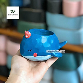 Mua Chậu cá voi xanh trồng sen đá mini (hàng xưởng VN) - CTK