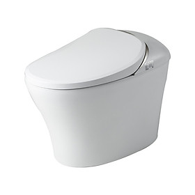 Mua Bồn cầu thông minh Bravat C21186W-3C-VP