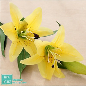 Mua Hoa Giả Lụa - HOA LY HOA LILY PHỦ SÁP CAO CẤP Dài 77cm