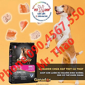 10KG Thức ăn cho chó trưởng thành Ganador vị cá hồi & gạo Salmon & Rice 10KG