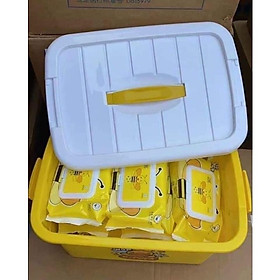 Mua Set 1 thùng 10 hộp khăn giấy ướt tặng kèm theo thùng nhựa đựng như hình