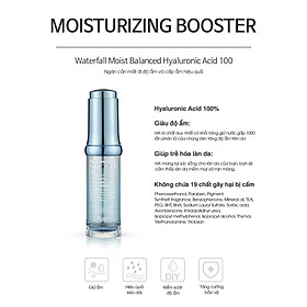 Serum Cấp Ẩm Giúp Da Mịn Màng Tươi Trẻ Waterfall Moist Balanced Hyaluronic Acid 100 The Plant Base
