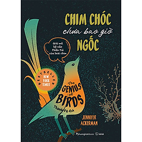 Chim Chóc Chưa Bao Giờ Ngốc - Giải Mã Bộ Não Thiên Tài Của Loài Chim