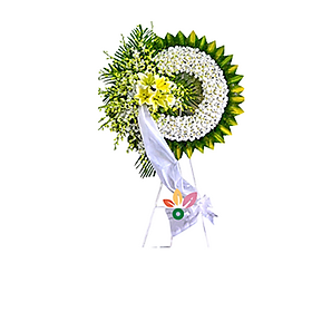 Mua Vòng Hoa Tang Trắng – 339