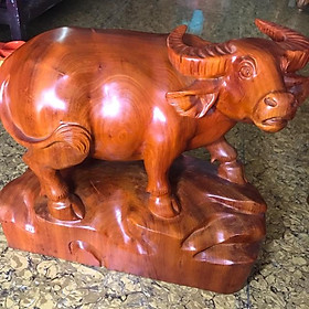 Mua Tượng Gỗ Mỹ Nghệ Chạm Con Trâu đứng đep kích thuóc dài 50cm cao 40cm Anh Chị trưng phòng khách nhà   công ty ý nghĩa biểu tượng Con Trâu làm đầu cơ nghiệp giống như công sức mình làm lụng vất vả có ngày thành đạt  may mắn & thành công ạ