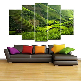 Tranh Ruộng Bậc Thang |Cánh Đồng Lúa Sapa |T3M-NEW-237