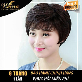 Tóc giả ngắn trung niên siêu da TGT-013