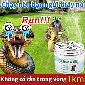 Mua 10000 mét không có rắnthuốc đuổi rắn gel đuổi rắn từ thực vật  chống rắn cô đặc Kéo dài 180 ngày