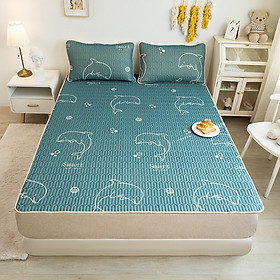 Mua Chiếu cao su non mềm mát size 1m6x2m