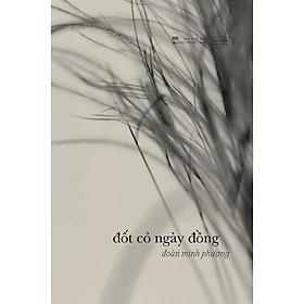 Đốt Cỏ Ngày Đồng