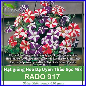 Mua Hạt Giống Hoa Các Loại Trồng Chậu  Trồng Thảm Nảy Mầm Tốt