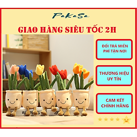 Mua Chậu Hoa Tulip Trang Trí Để Bàn Hình Mặt Cười Dễ Thương PaKaSa - Hàng Chính Hãng