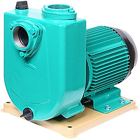 Máy bơm nước lưu lượng lớn Wilo PU1500E (1500W)