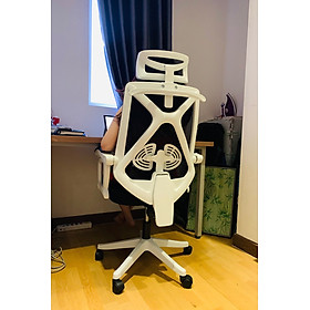 Mua Ghế Làm Việc Công Thái Học - Ergonomics Ngả Lưng Thư Giãn Cao Cấp AMA-CTH-X6