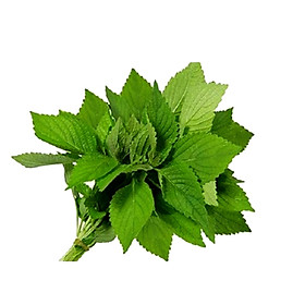 Kinh giới - 100g (khối lượng thực có thể chênh lệch 10%)