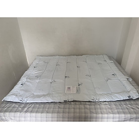 Mua Nệm tiện ích Everon Lite ( mẫu ngẫu nhiên )